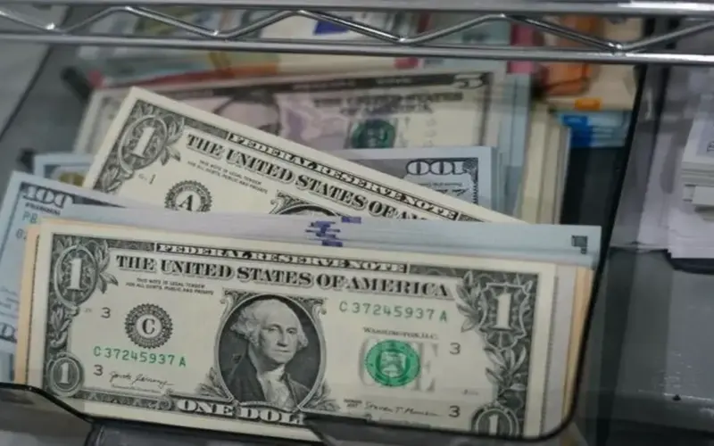 سعر الدولار اليوم أمام الجنيه المصري الثلاثاء 31 مارس 2026.. آخر تحديث